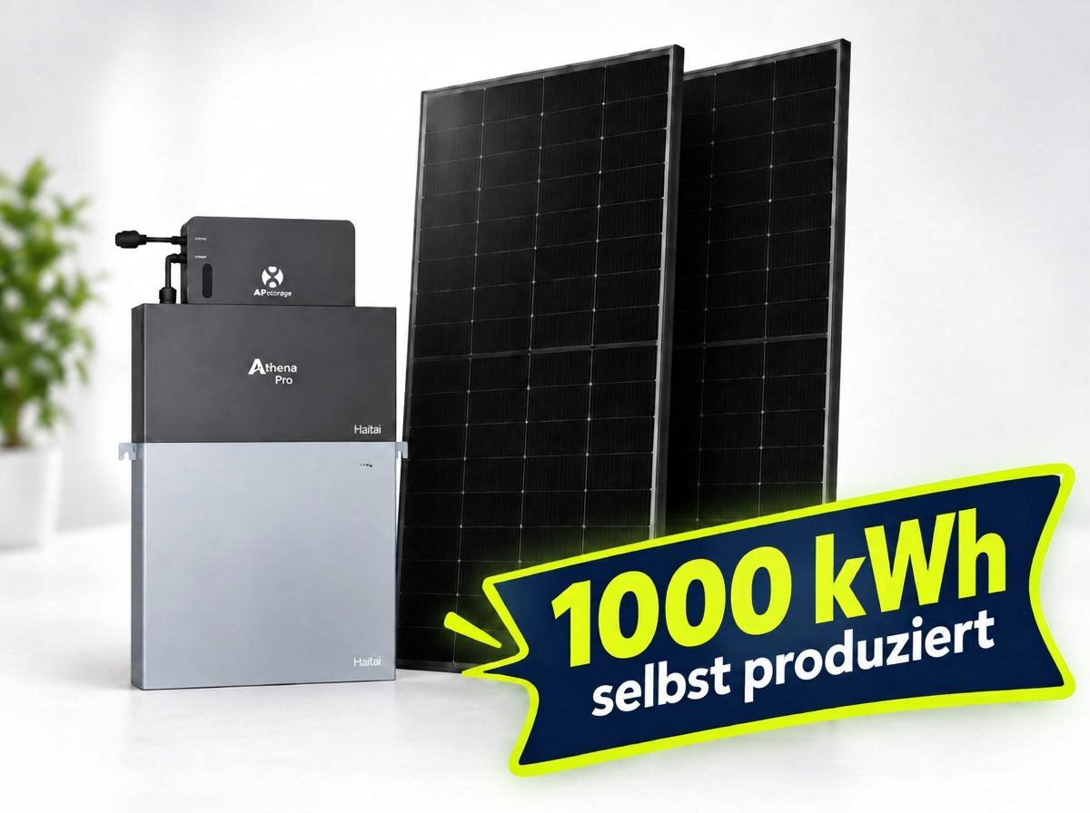 Strom-Basis-Paket mit zwei Solarmodulen und Speicher